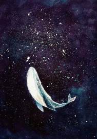 鲸落星辰